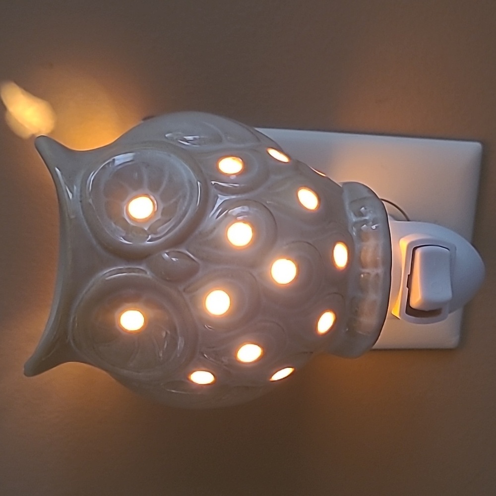 Intertek night light plug in owl